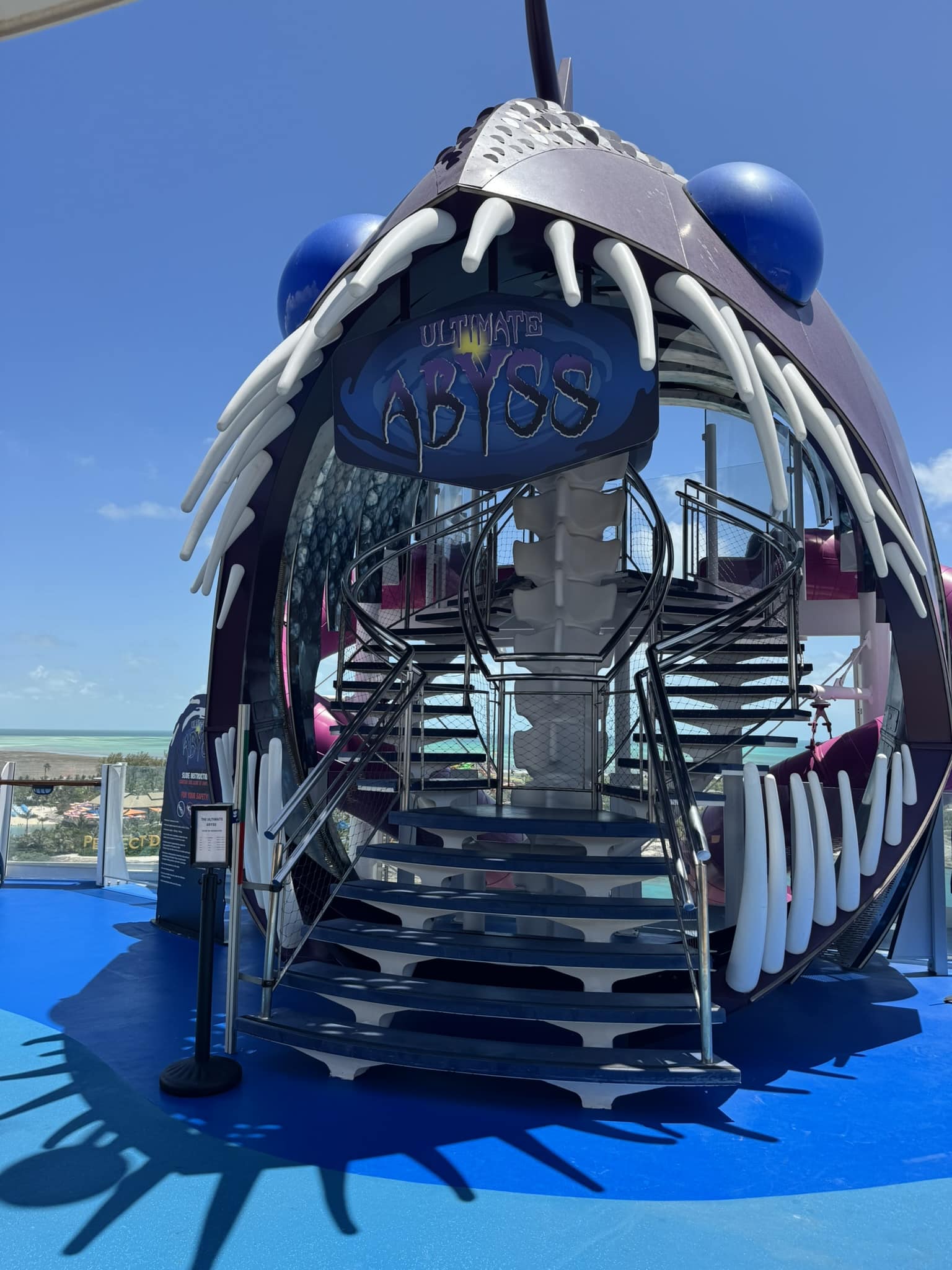 Oasis of the Seas Adventure: The Best Things to Do for Thrill Seekers