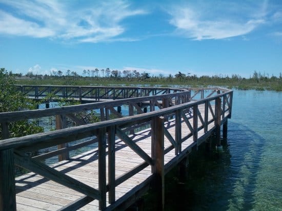 Bonefish Pond National Park in Nassau, Bahamas