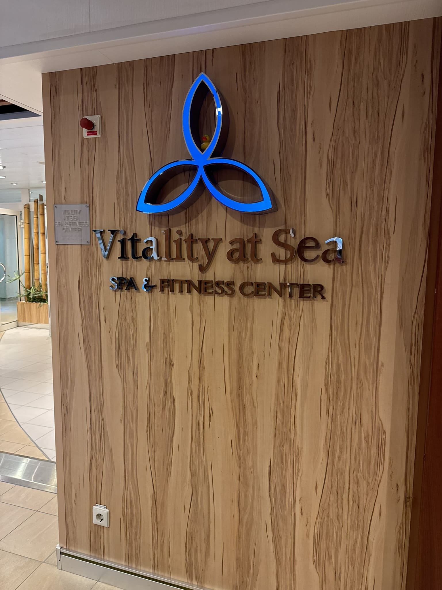 Oasis of the Seas Wellness: The Best Self-Care Experiences for Relaxation and Rejuvenation