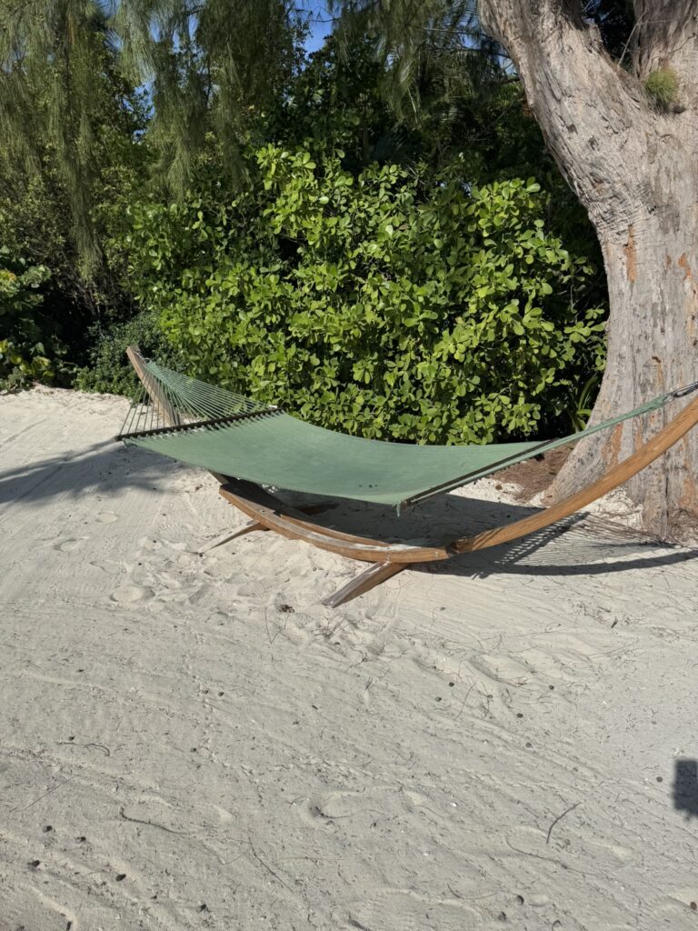A hammock strung between palm trees on CocoCay, gently swaying above the sand with tropical greenery and sunlight in the background.