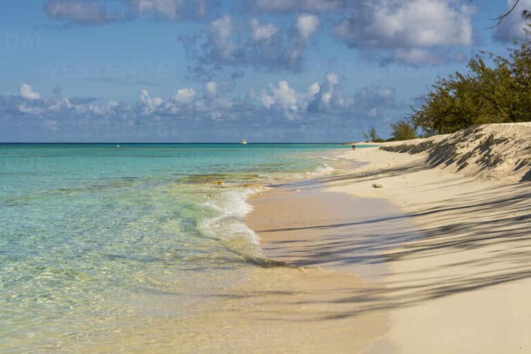 Calm turquoise water and soft white sand at Governor’s Beach on Grand Turk, surrounded by sea grape trees