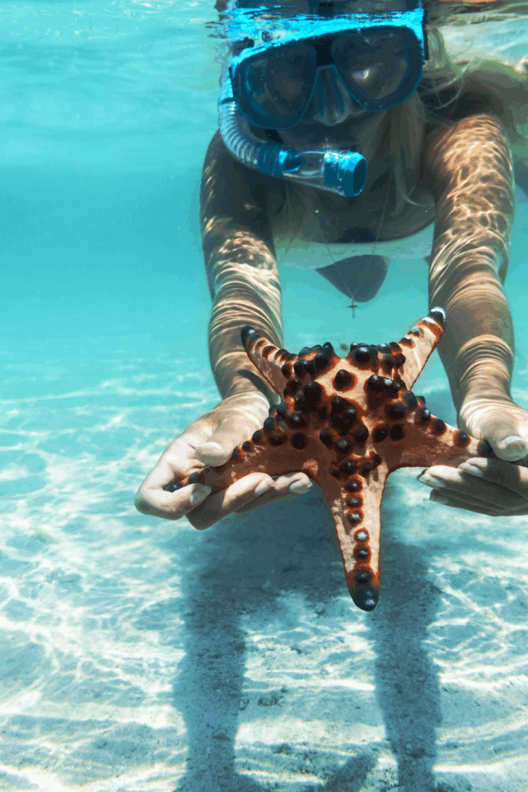 a beginner’s guide to snorkeling on a cruise