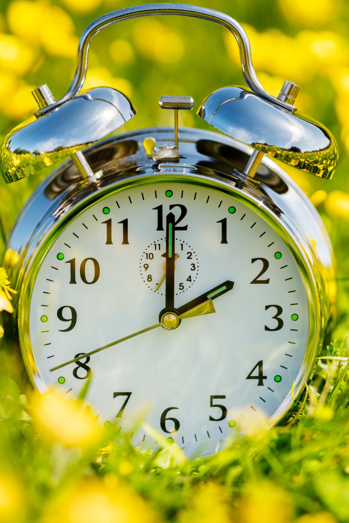 cruise time zone changes