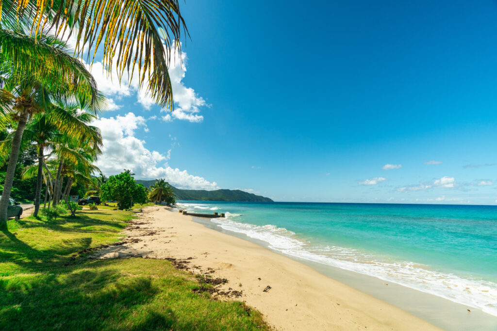 Calm turquoise water and palm‑lined shoreline at Cane Bay Beach on St. Croix’s north shore.