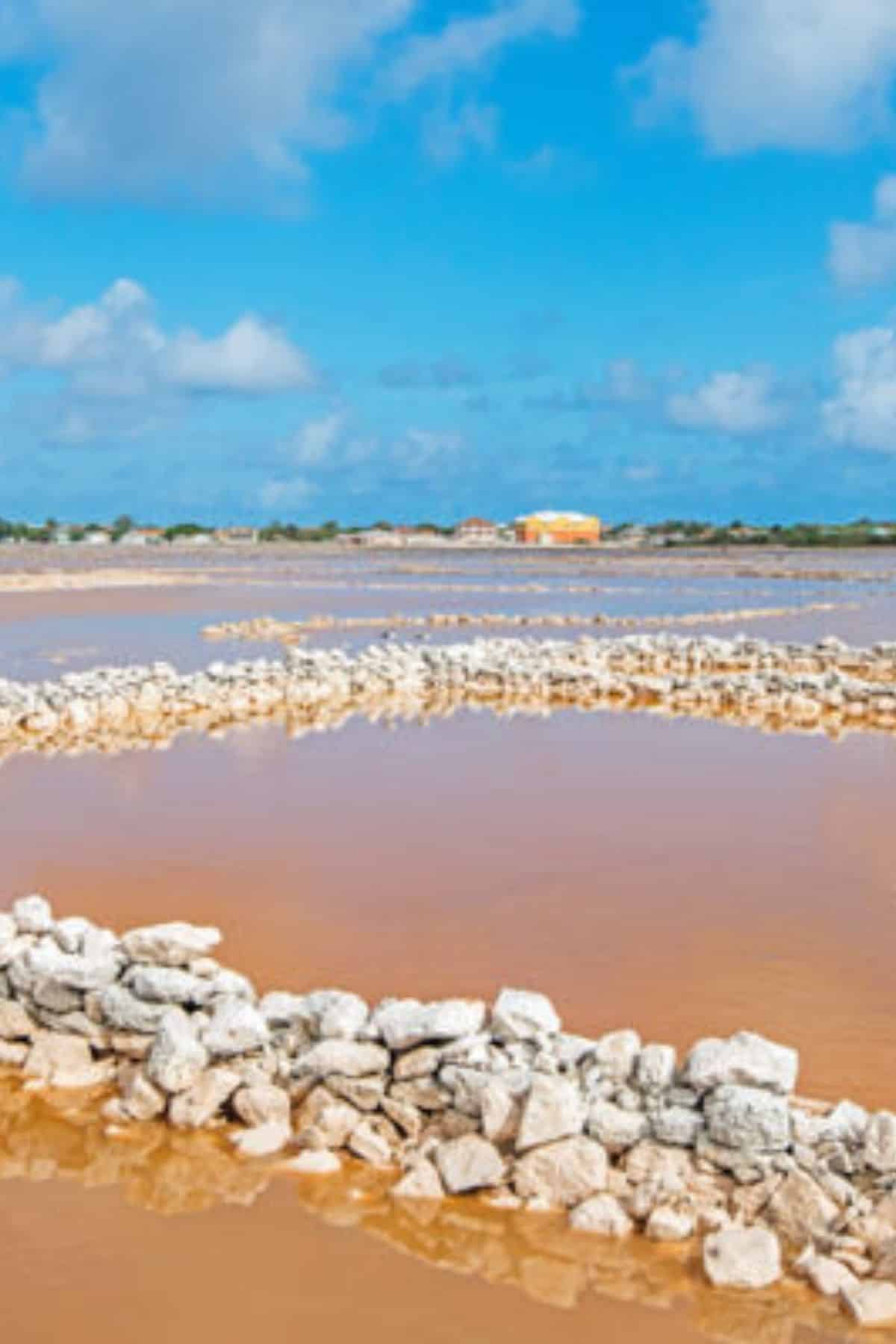 Salt Salinas Grand Turk