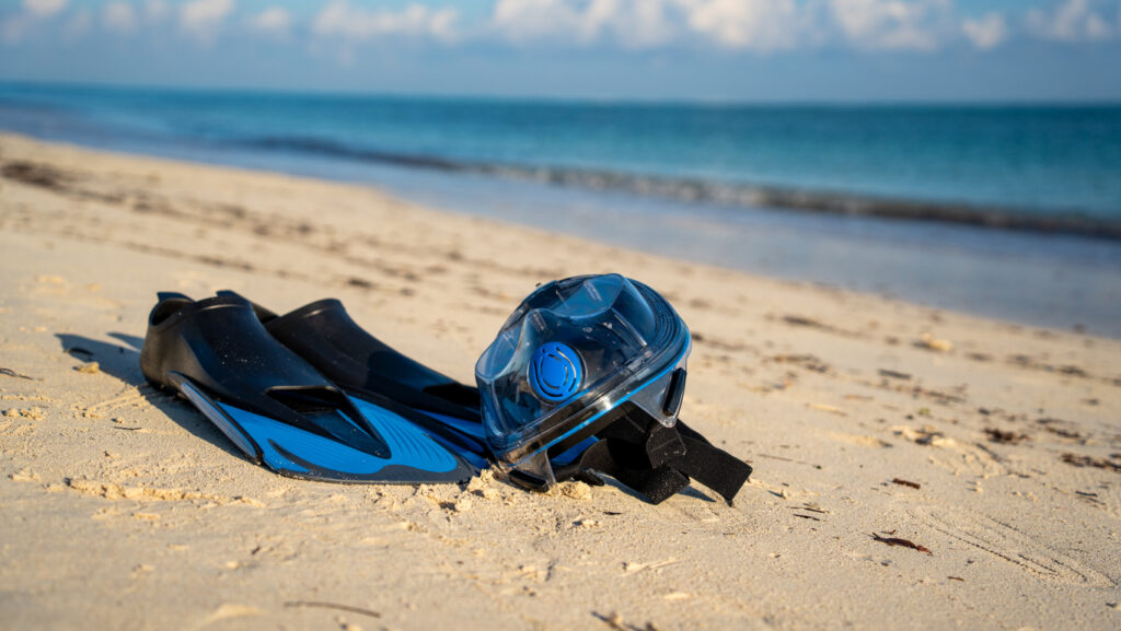 Snorkel and fins resting on sandy beach