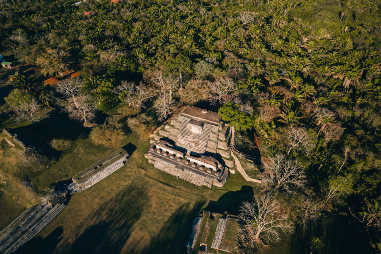 The Altun Ha Archaeological Site in Belize, framed by forest trees and centuries of Maya heritage.