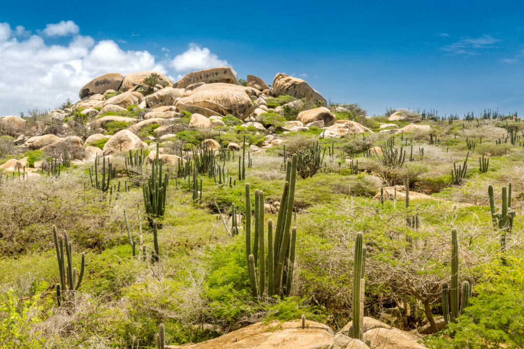 Ayo Rock formation and typical cacti in the Arikok national park, Aruba
