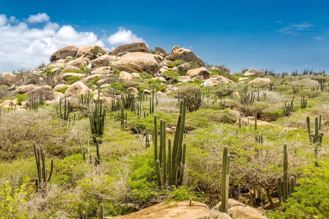 Arikok National Park – Aruba