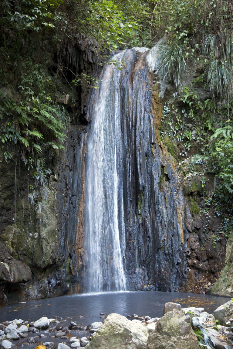 Colorful mineral waterfall surrounded by lush tropical plants at Diamond Falls Botanical Gardens in St. Lucia.
