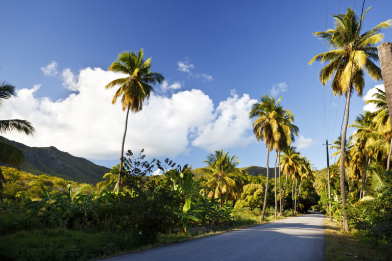 Fig Tree Drive, Antigua