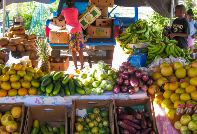 Children purchasing fresh fruit at a local produce stand in Grand Case Village on the French side of St. Martin..