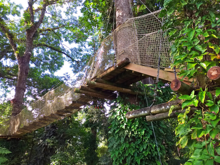 Suspension bridge in a lush tropical forest, reflecting the treetop adventure experience at Loterie Farm on the French side of St. Martin.