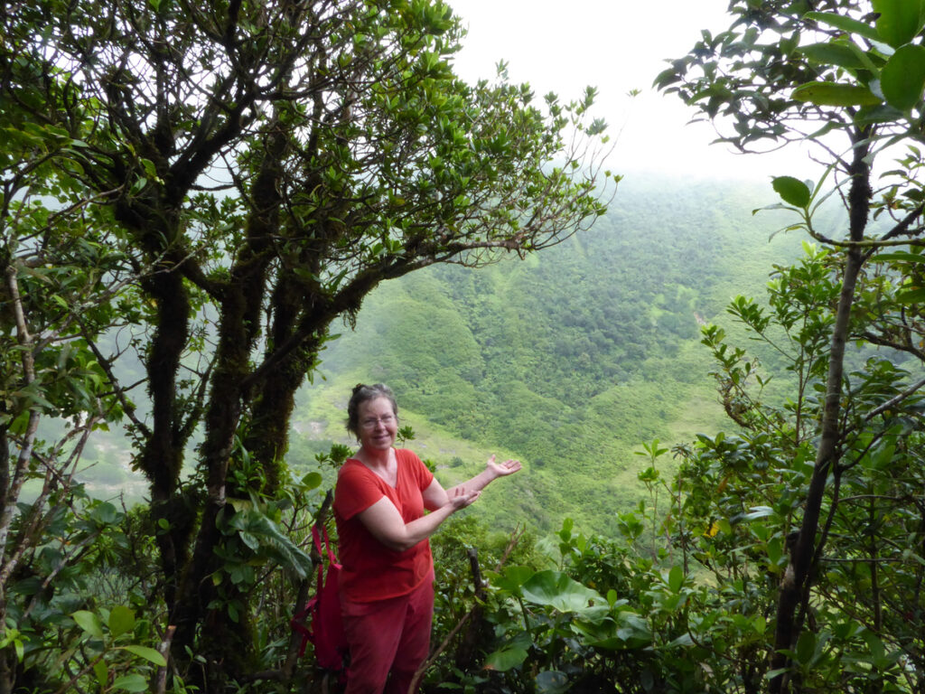 Woman standing at the summit of Mount Liamuiga in St. Kitts, looking out over the volcanic crater after completing the hike.