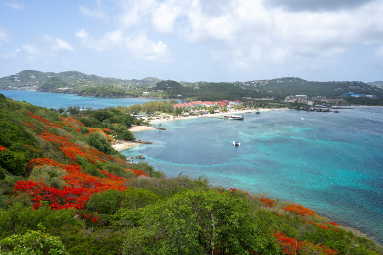 Pigeon Island National Park features historic forts, scenic trails, and sweeping views of Rodney Bay.