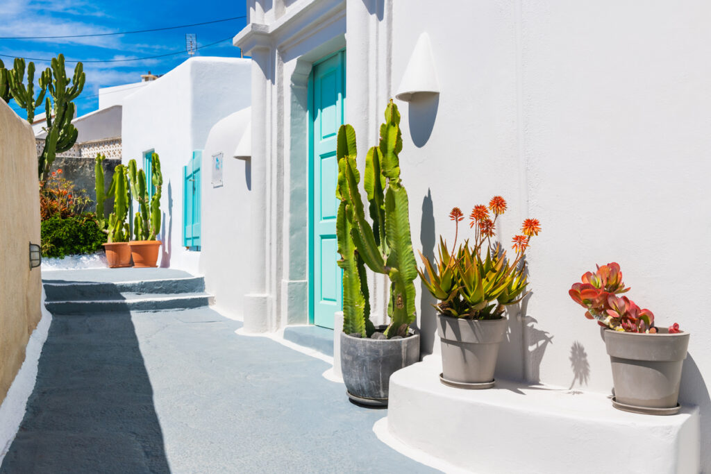 White cycladic architecture in Santorini island, Greece. Cozy street with flowers in Pyrgos village