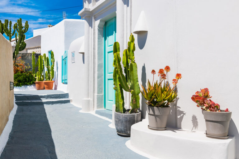 White cycladic architecture in Santorini island, Greece. Cozy street with flowers in Pyrgos village