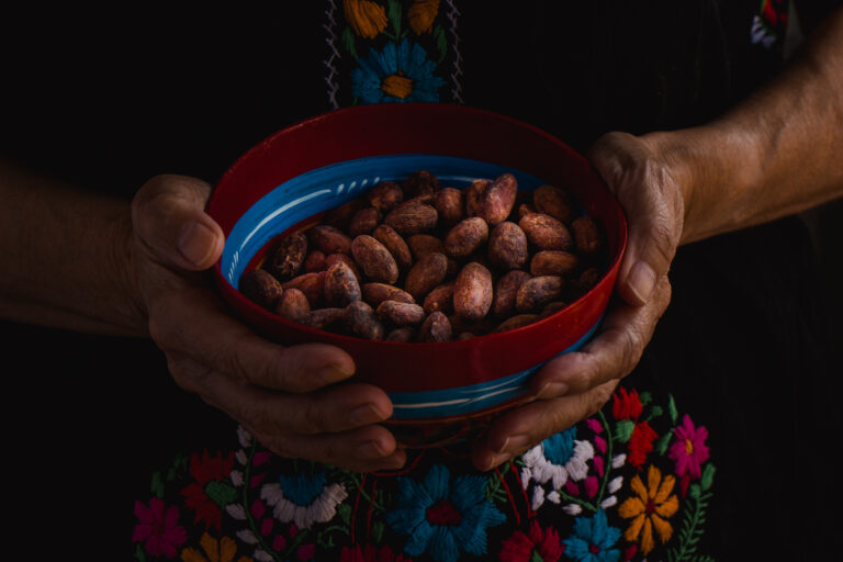 Hand holding cacao beans over a colorful bowl, representing the traditional cacao used to make handcrafted chocolate in Roatán.