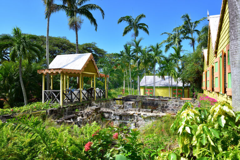 Original stone foundations of the historic Romney Manor house in St. Kitts, surrounded by tropical greenery.