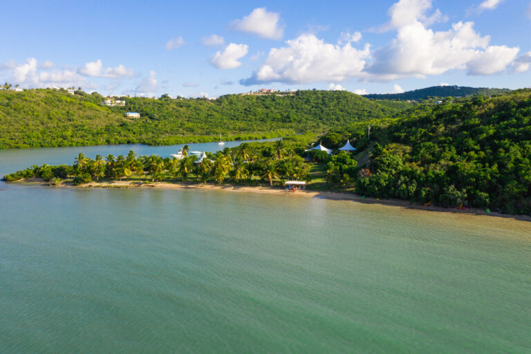 Calm blue water and mangrove‑lined shoreline at Salt River on St. Croix’s north shore.