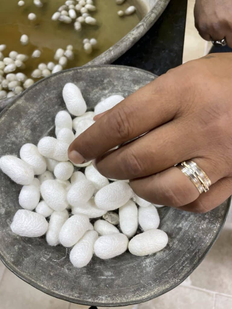 silk worms at the rug tour in Ephesus, Turkey