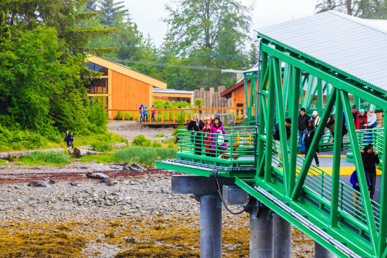 View of the dock and coastal scenery at Icy Strait Point, Alaska, with forested mountains rising above the shoreline near the base of the gondola.