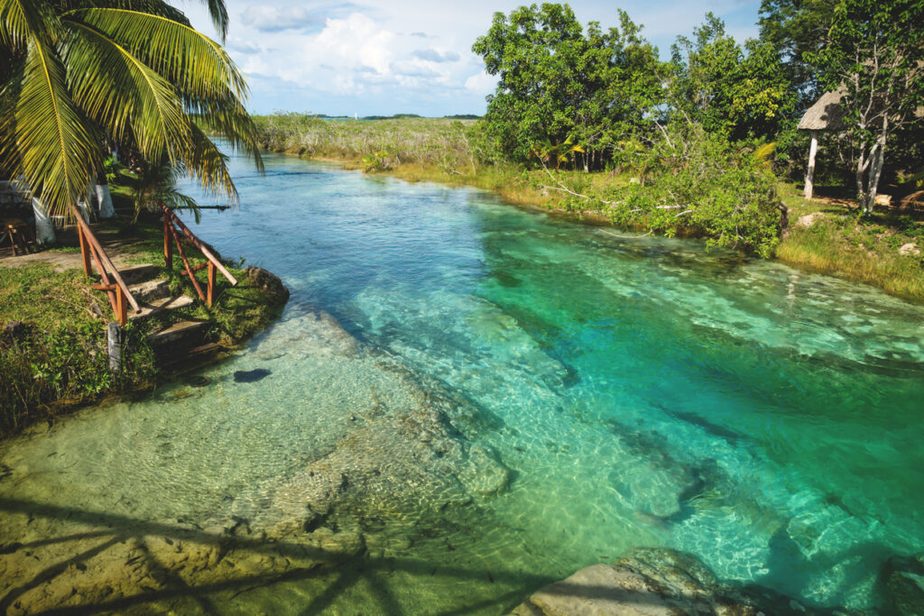 Sunny view of the seven‑colored water at Bacalar Lagoon, surrounded by tropical plants, reflecting the vibrant scenery visitors enjoy on a Costa Maya day trip.