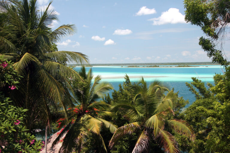 View of Bacalar Lagoon framed by green tropical plants, reflecting the calm, colorful water visitors enjoy on a Costa Maya day trip.