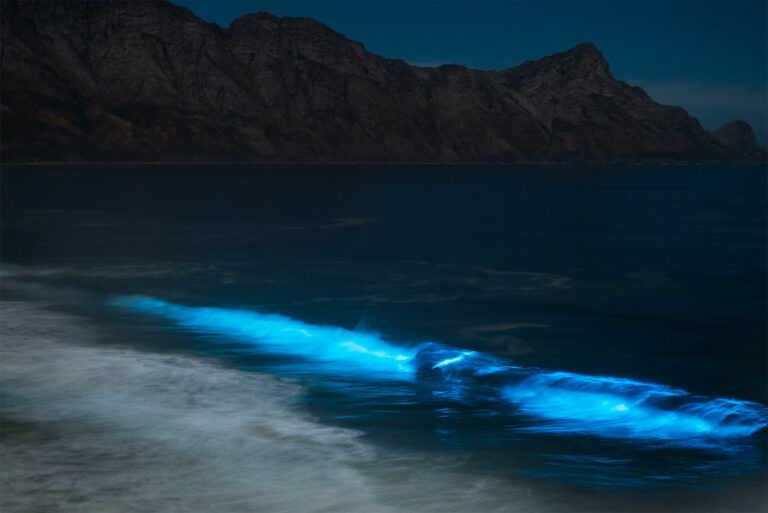 Fluorescent blue ocean waves illustrating the glowing effect often associated with natural bioluminescence