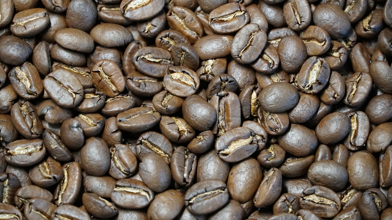 Blue Mountain Coffee Tour – Kingston, Jamaica