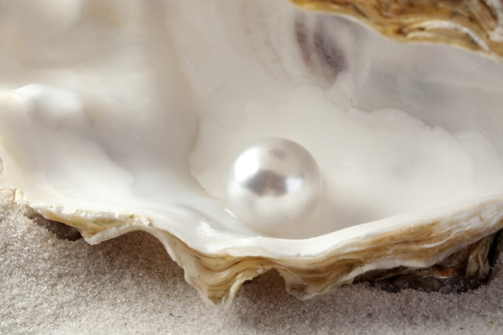 Open oyster shell resting on sand with a single white pearl inside.