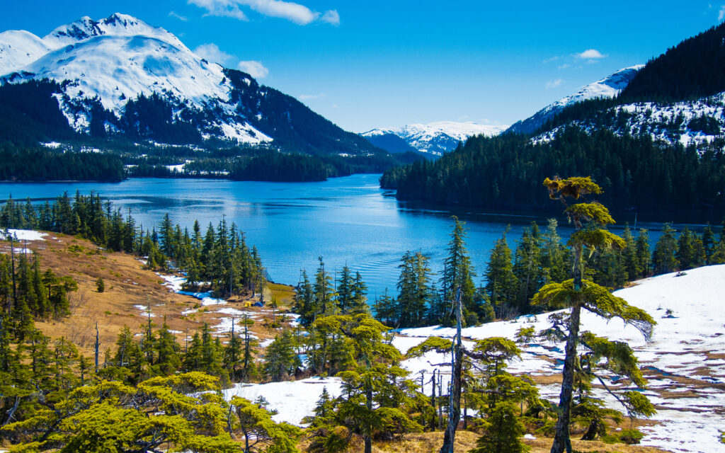 A calm blue lake surrounded by evergreen forest and snow‑covered mountains under a clear sky in Alaska.