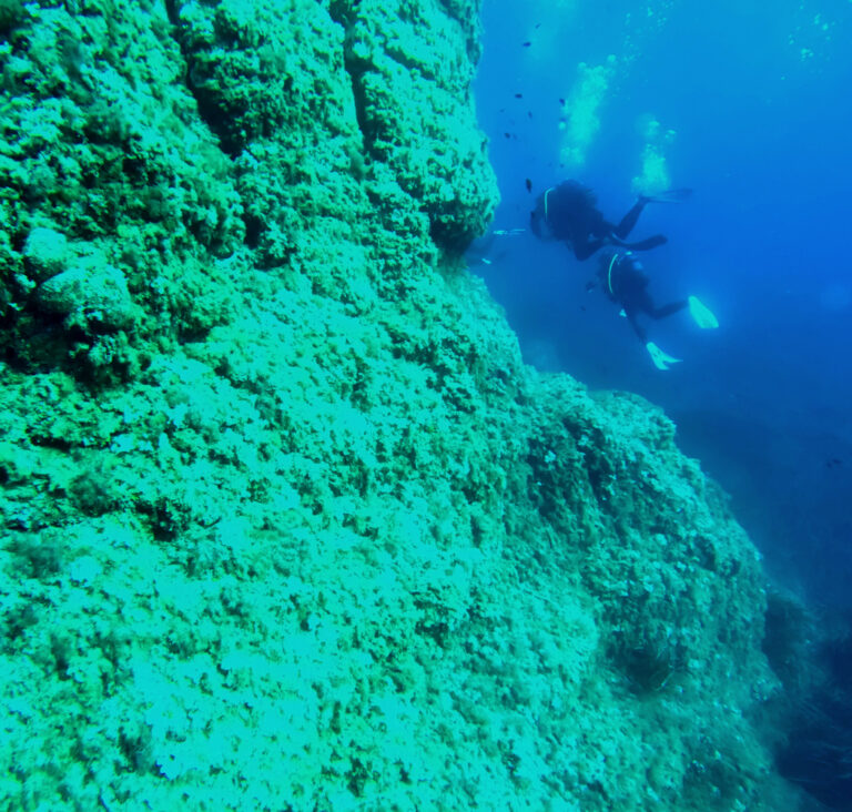 A pair of scuba divers explore the edge of a coral‑covered drop‑off, where the shallow reef gives way to deeper blue water.