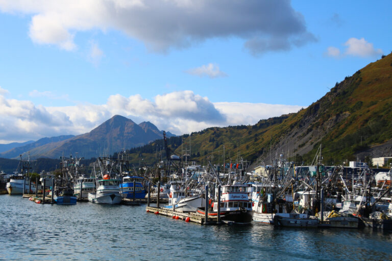 A busy Kodiak harbor filled with fishing boats, with forested hills and a mountain peak rising in the background under a partly cloudy sky.