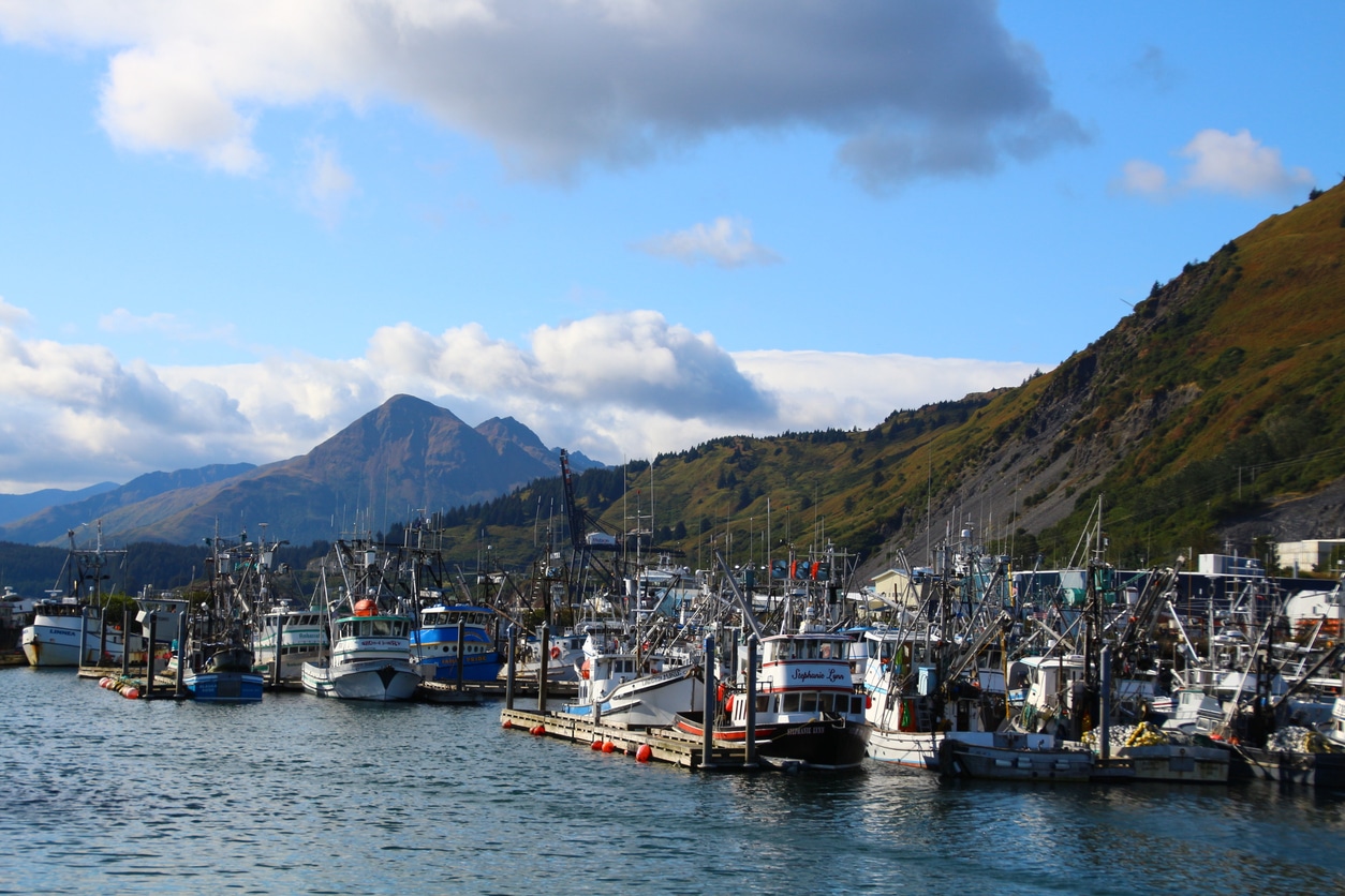 Kodiak Alaska Cruise Port Guide: Top Things to Do for Cruise Travelers