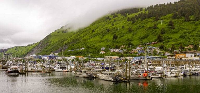 Wide view of St. Paul Harbor in Kodiak, Alaska, with fishing boats and waterfront buildings along the downtown shoreline.