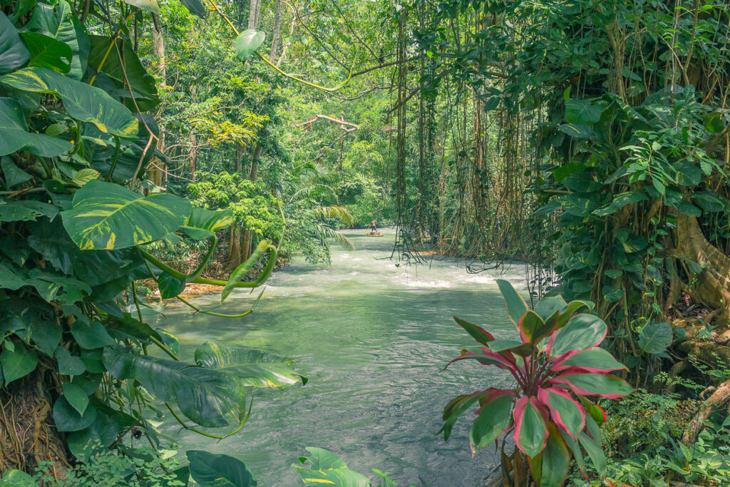 Visitors climbing the gentle cascades at Konoko Falls in Ocho Rios, surrounded by lush tropical gardens.