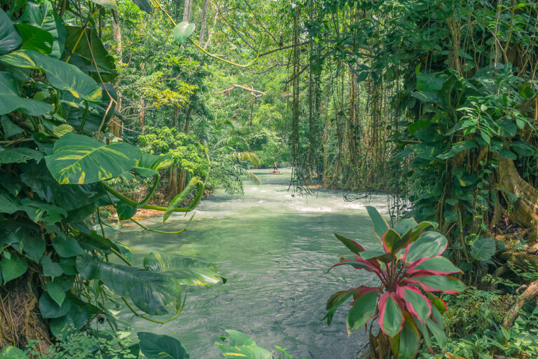 Visitors climbing the gentle cascades at Konoko Falls in Ocho Rios, surrounded by lush tropical gardens.