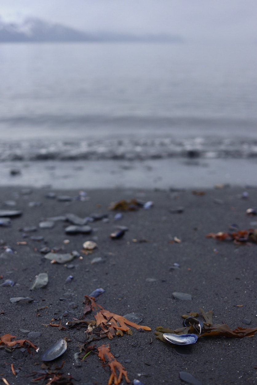 Lowell Point & the Coastal Trail – Seward, Alaska