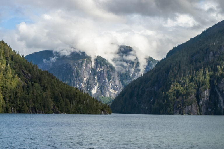 Misty fjord surrounded by steep, forested cliffs and low clouds in Southeast Alaska.