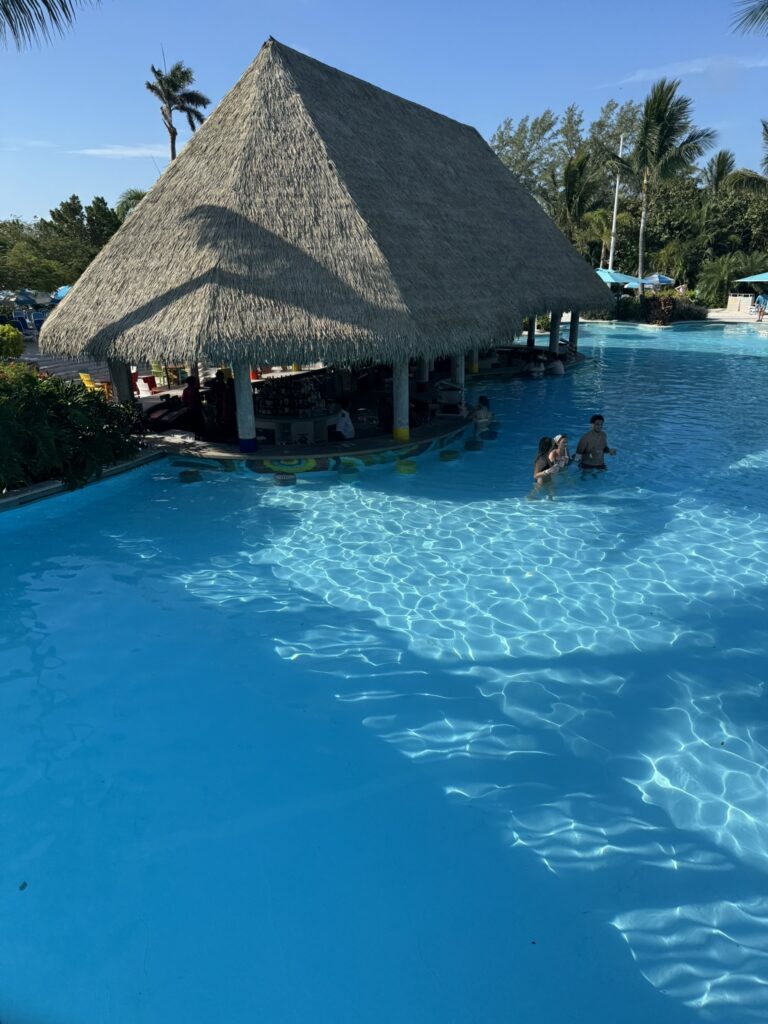 Swim‑up bar at Oasis Lagoon on Perfect Day at CocoCay with guests enjoying the pool