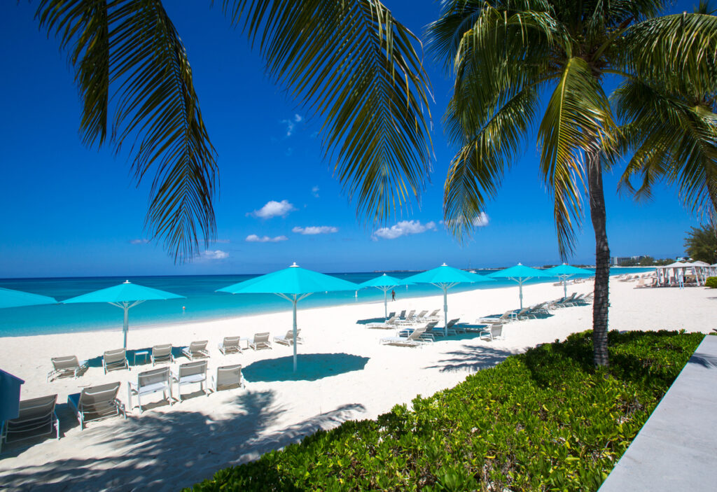 Palm trees along Seven Mile Beach in Grand Cayman with clear turquoise water and soft white sand
