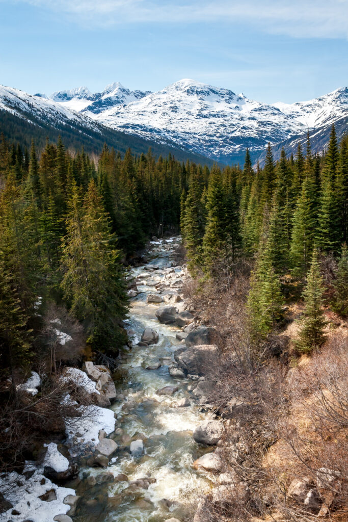 The Skagway River flowing through the Tongass National Forest in Southeast Alaska, surrounded by forested valley walls.