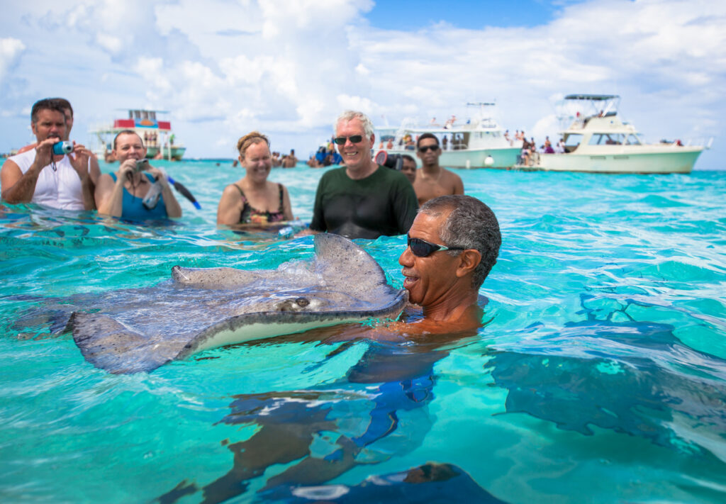 Tourists standing on the Stingray City sandbar in Grand Cayman while southern stingrays swim around them during a guided encounter