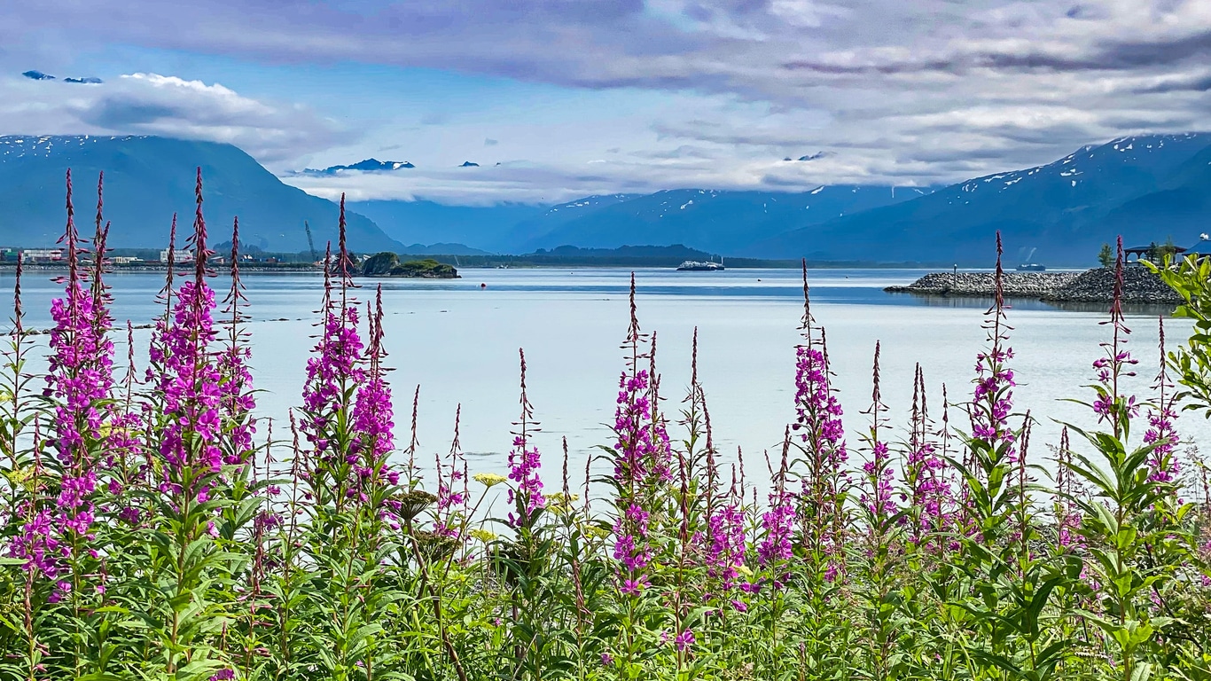 Valdez Alaska Cruise Port Guide – Top Things to Do for Cruise Travelers