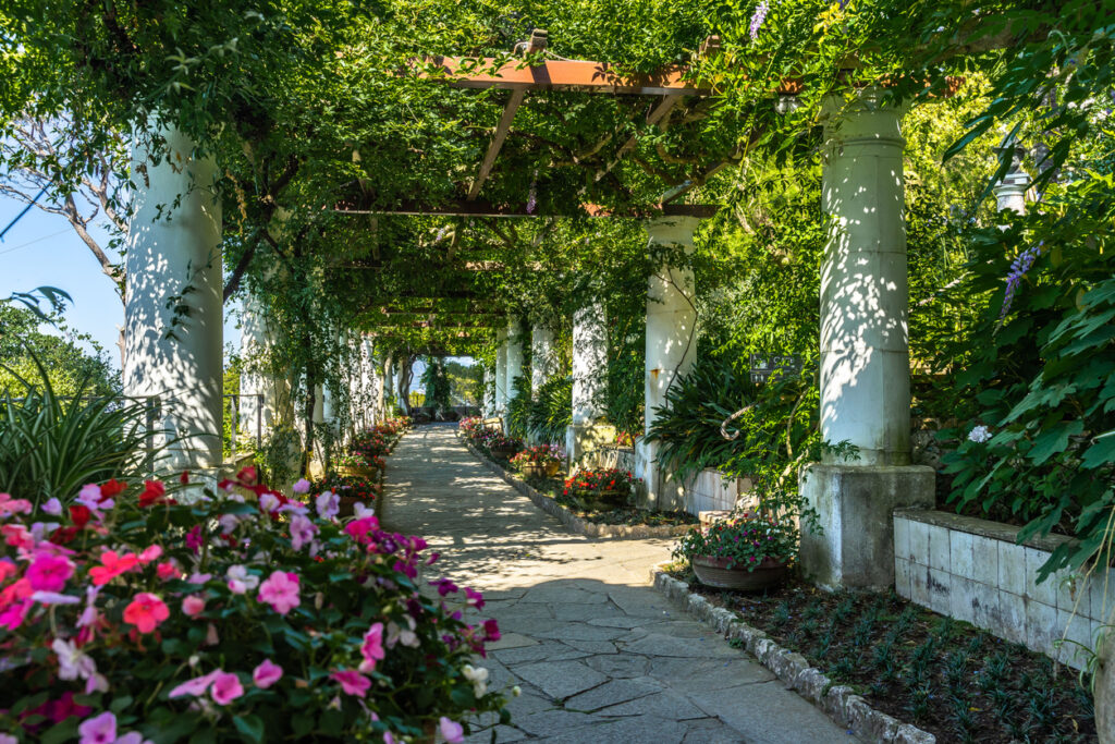 Flower‑covered pergola in the gardens of Villa San Michele in Capri, built by Swedish physician Axel Munthe